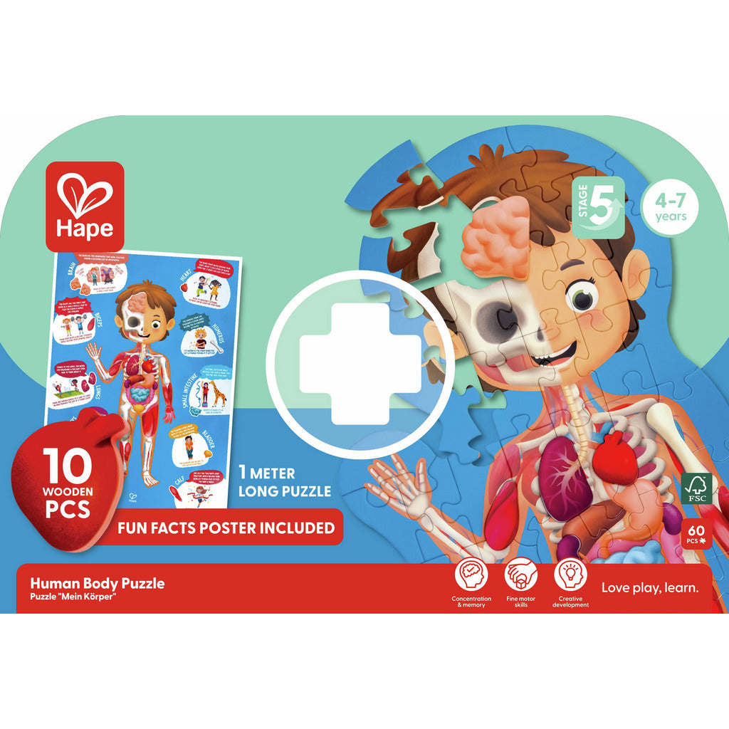 Puzzle cuerpo humano.